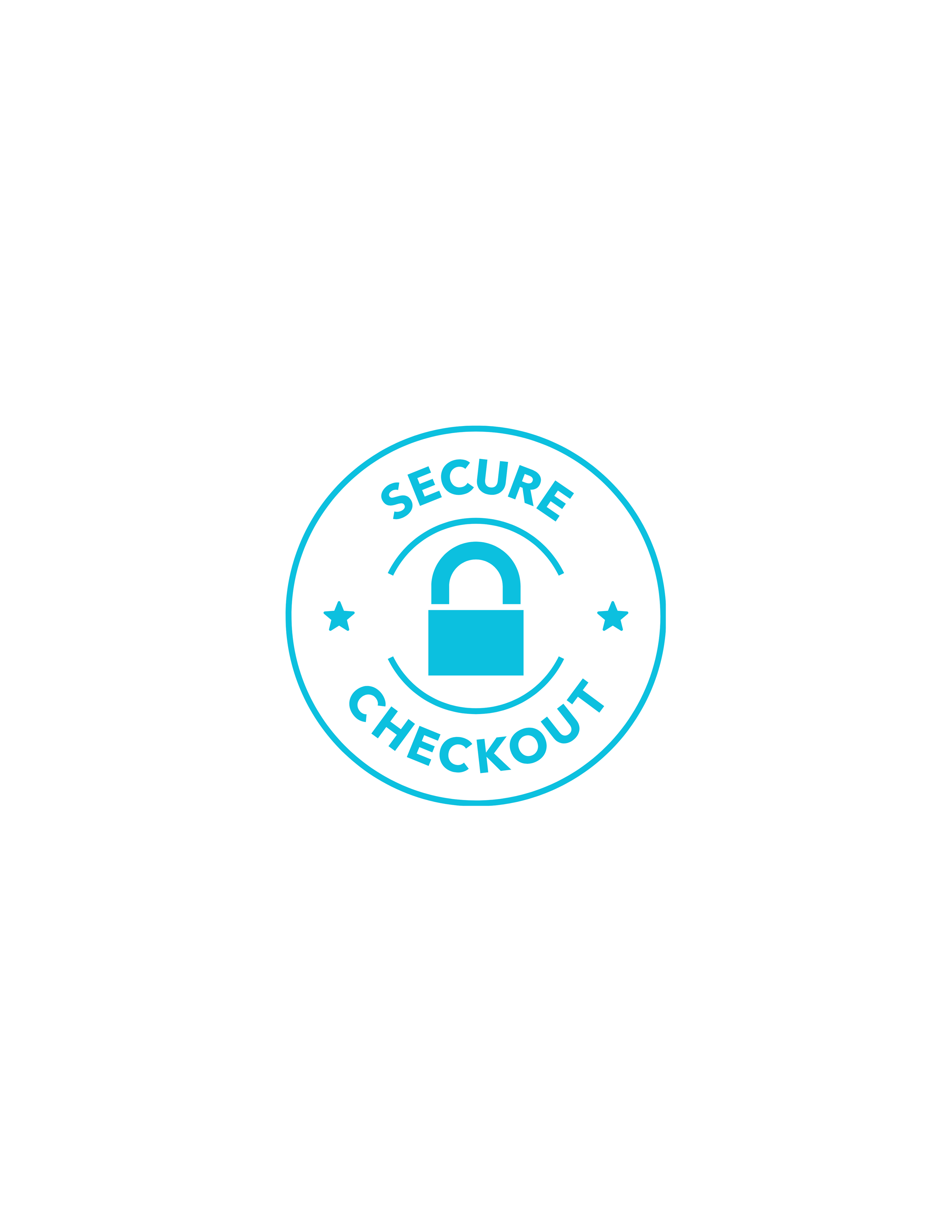 A circular teal graphic on a white background reading 'SECURE CHECKOUT' with a padlock icon in the center.